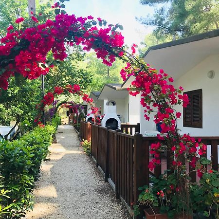 Camping Villaggio Internazionale San Menaio Kültér fotó