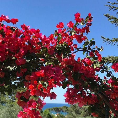 Camping Villaggio Internazionale San Menaio Kültér fotó