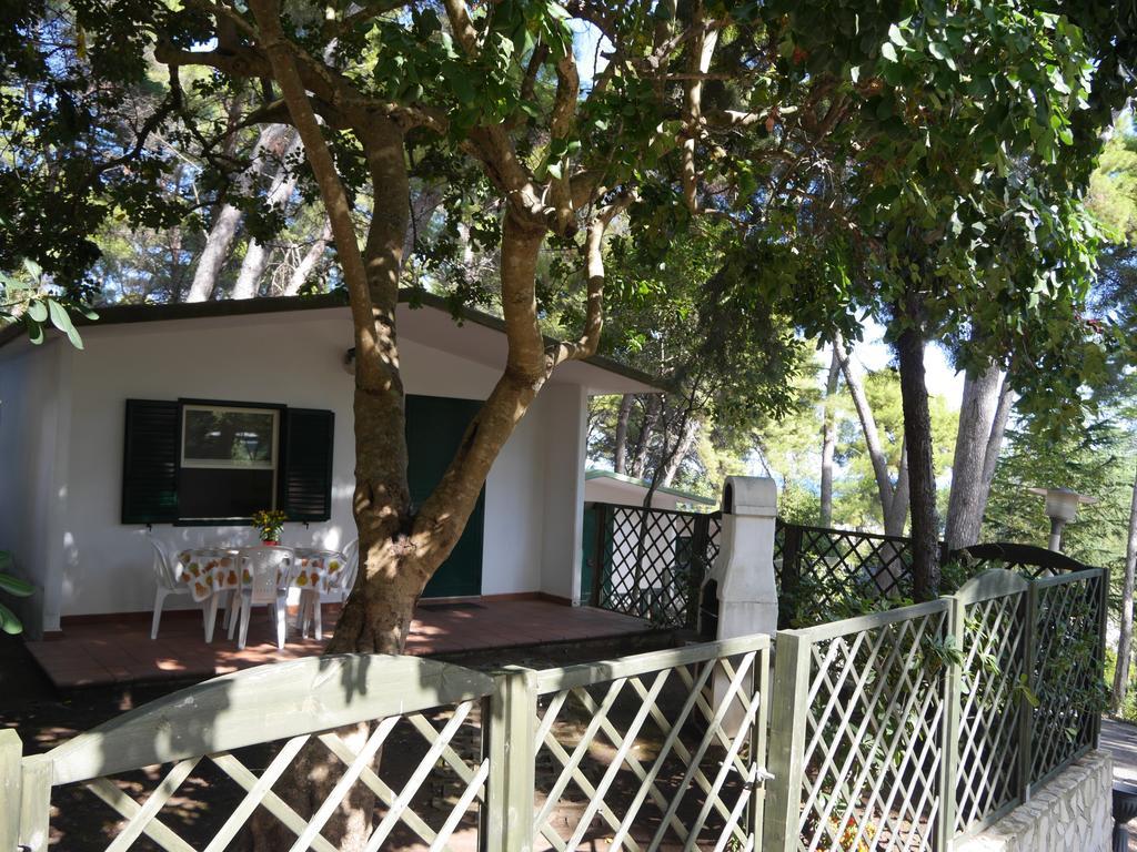 Camping Villaggio Internazionale San Menaio Szoba fotó