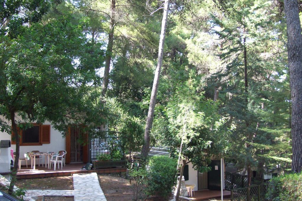 Camping Villaggio Internazionale San Menaio Szoba fotó