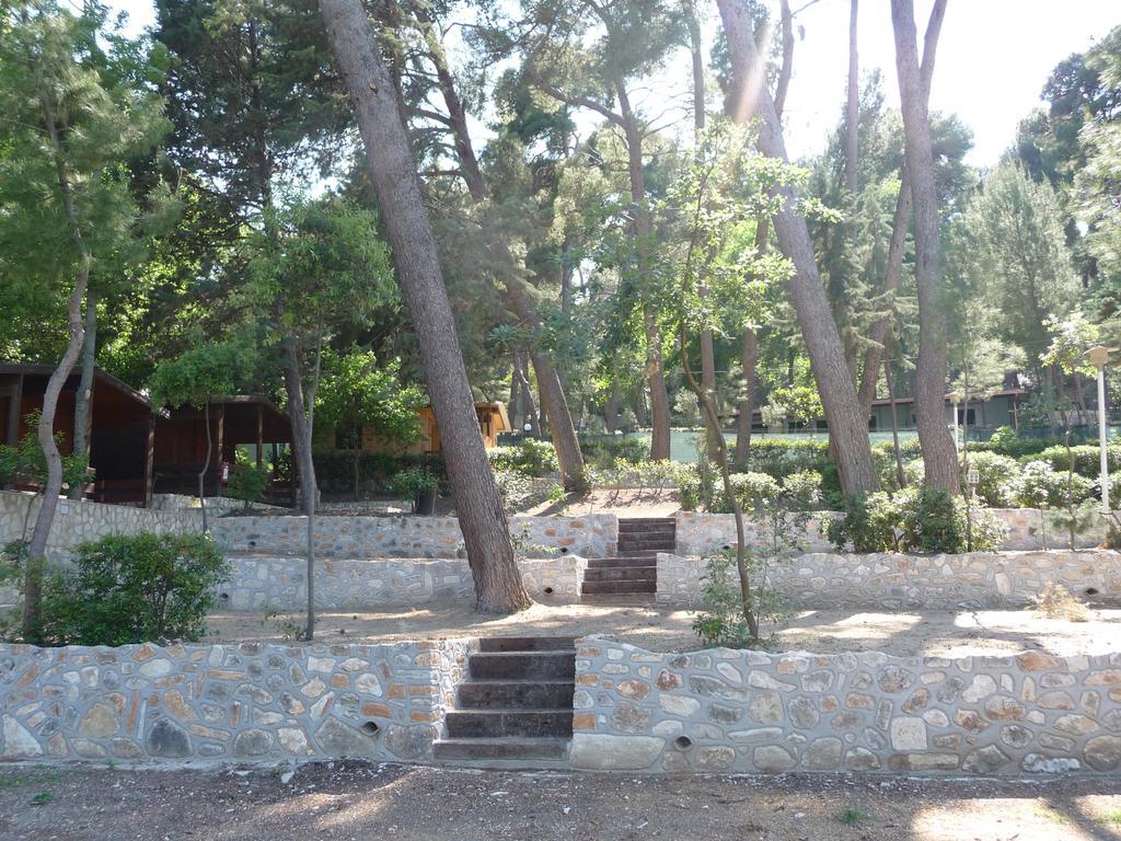 Camping Villaggio Internazionale San Menaio Kültér fotó